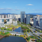 湛然咨询1岁了